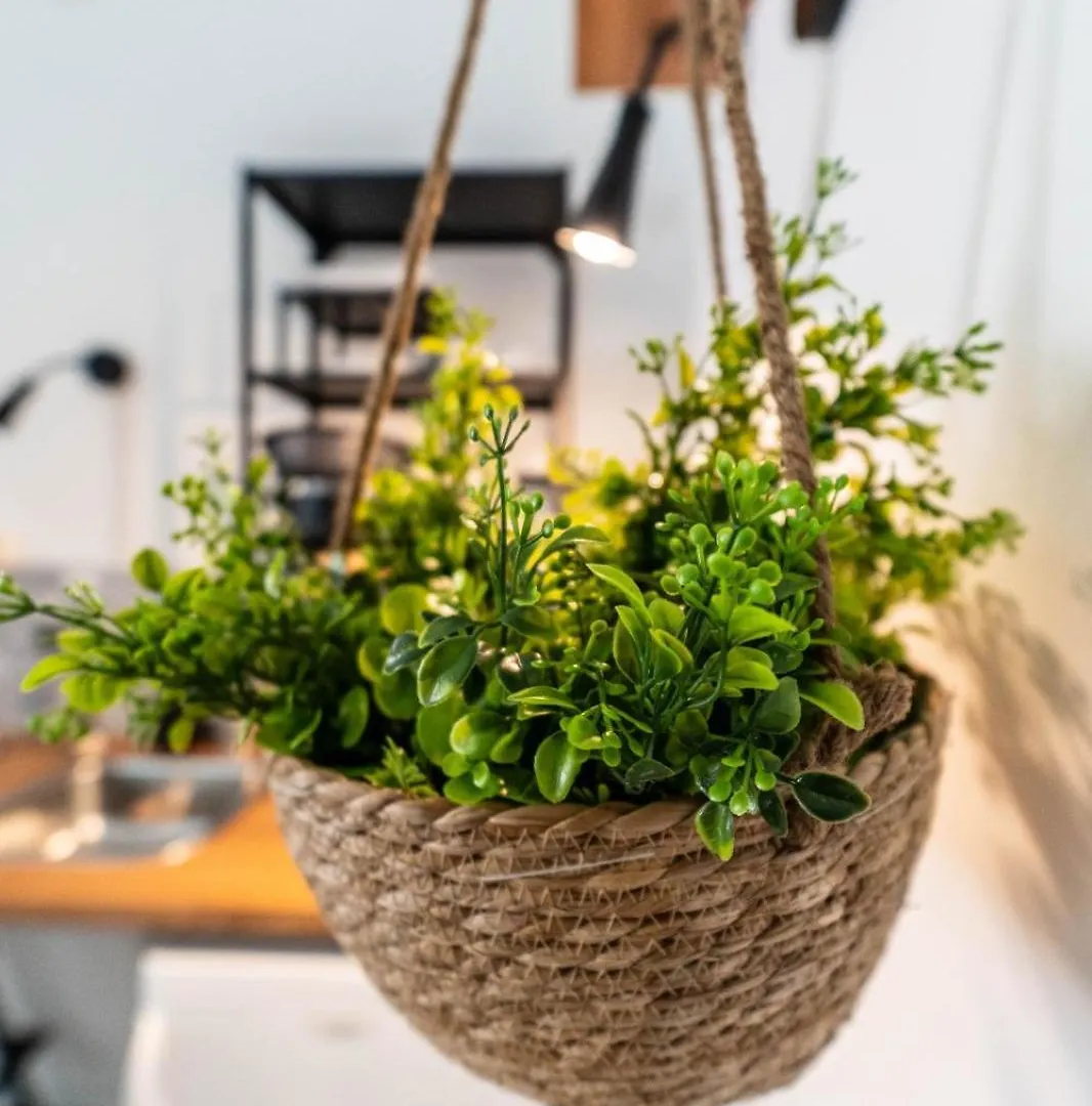 Guest house Molo Di Levante Catania Italy
